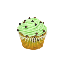 Mint Chocolate Chip Cupcake