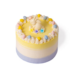 Easter Bunny Cake 8